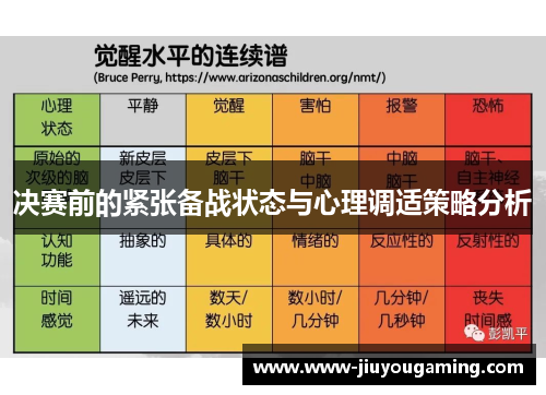 决赛前的紧张备战状态与心理调适策略分析