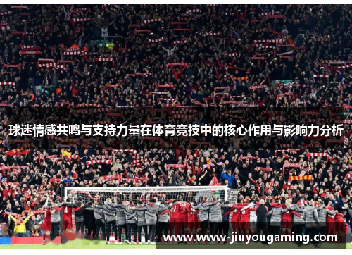 球迷情感共鸣与支持力量在体育竞技中的核心作用与影响力分析