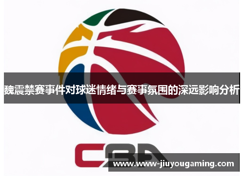 魏震禁赛事件对球迷情绪与赛事氛围的深远影响分析