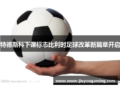 特德斯科下课标志比利时足球改革新篇章开启