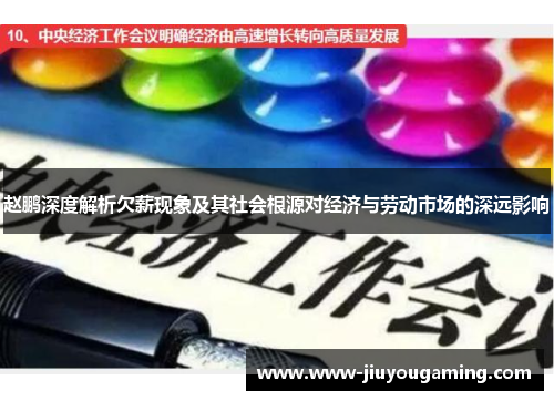 赵鹏深度解析欠薪现象及其社会根源对经济与劳动市场的深远影响