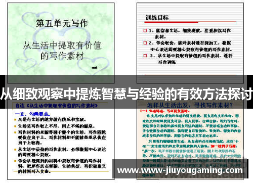 从细致观察中提炼智慧与经验的有效方法探讨