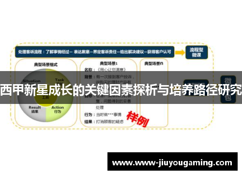 西甲新星成长的关键因素探析与培养路径研究